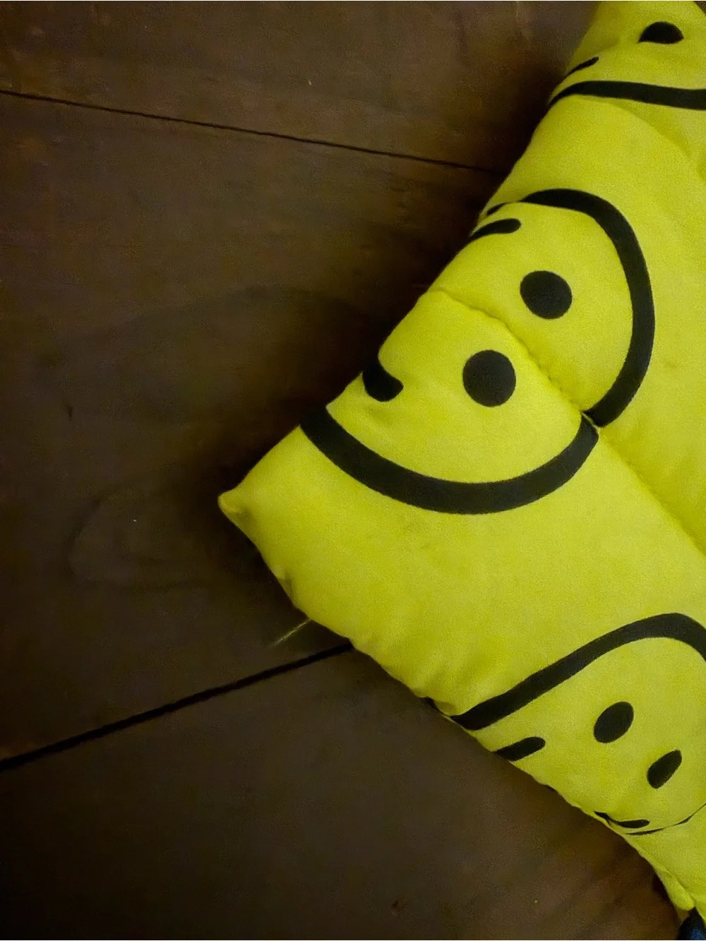BAGGU barely used